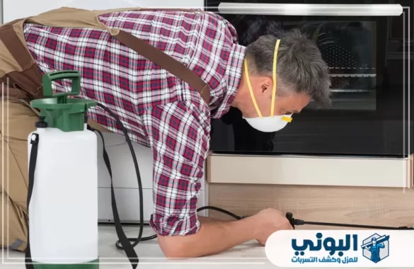شركة مكافحة حشرات بالرياض