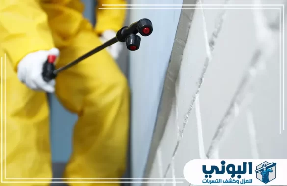 شركة مكافحة حشرات بالدمام
